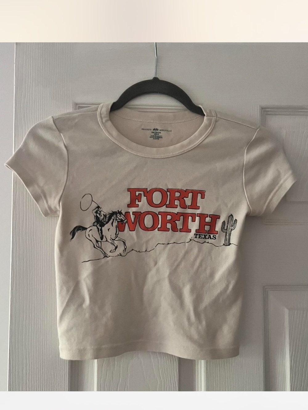 Brandy Melville Fort Worth Crop Top
